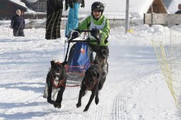 Lenk 2012 SM